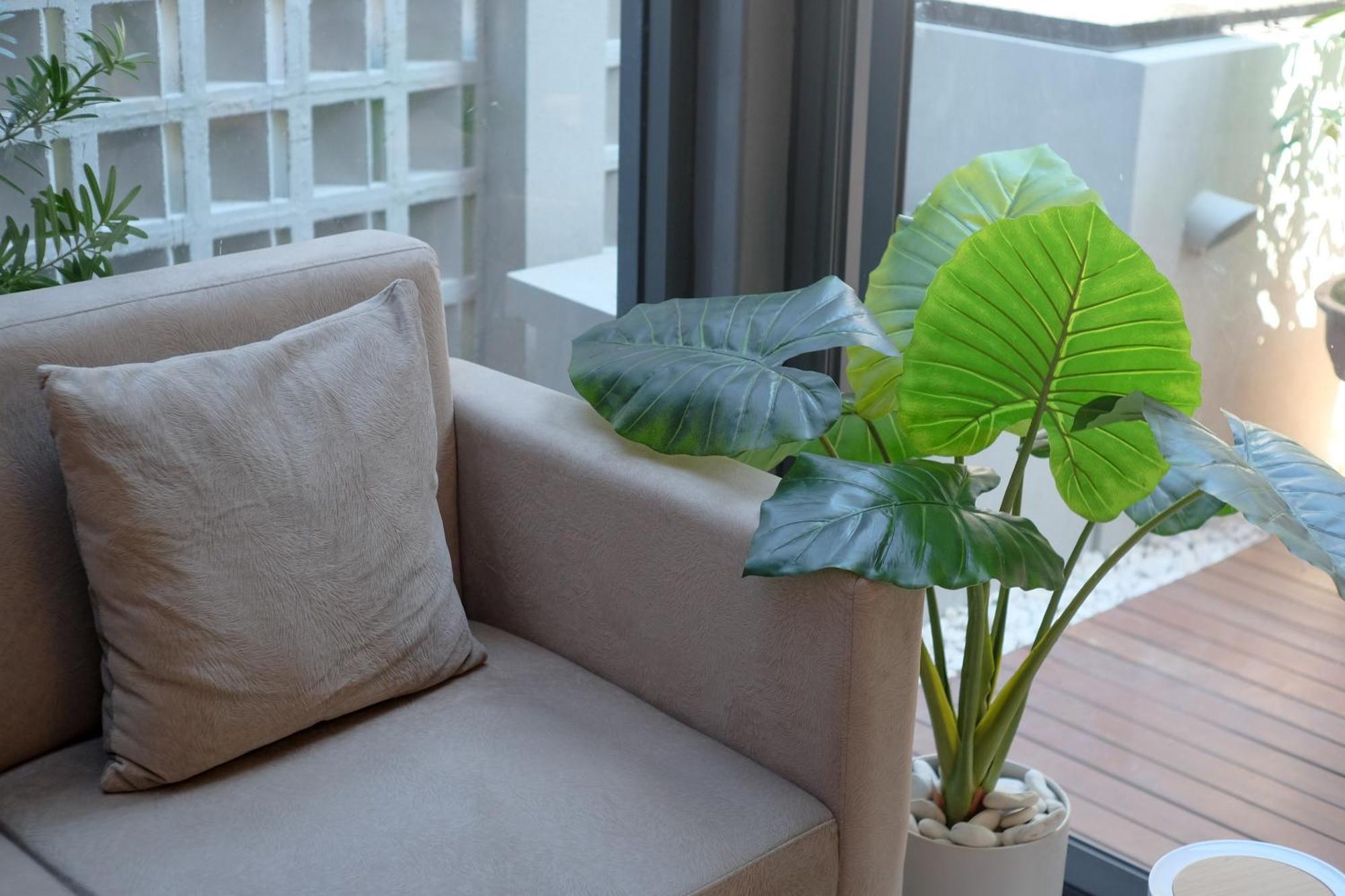 Sans Hotel Rg Living Jogja By Reddoorz Pakualaman Eksteriør bilde